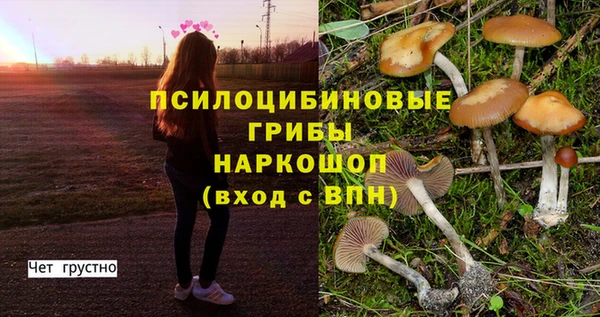 2c-b Абаза